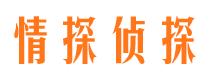 大通调查事务所